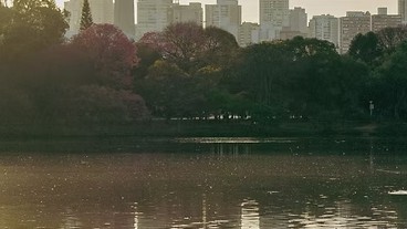 Desde Bienal do Livro à atividades no parque, confira a programação cultural de setembro