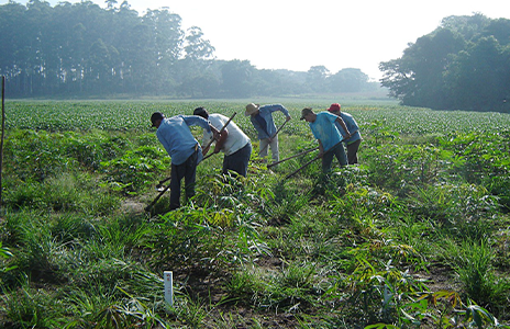 Assassinatos e trabalho análogo à escravidão aumentam em 2025