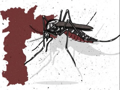 Apenas cinco distritos não apresentam epidemia de dengue em São Paulo
