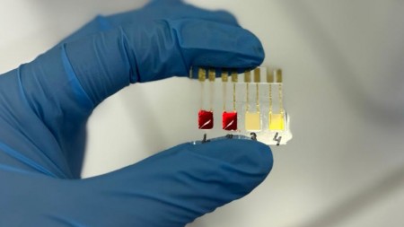 Dispositivo inovador detecta câncer de pâncreas ainda no início