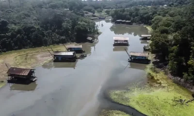 Estudo expõe avanço do garimpo ilegal no Pará